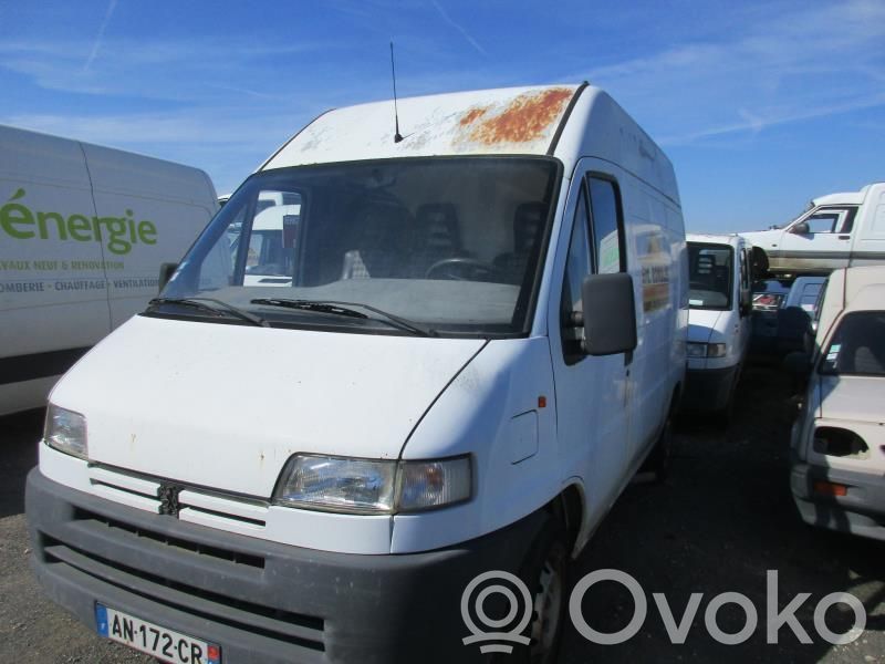 Boxer Boxer  7804C9