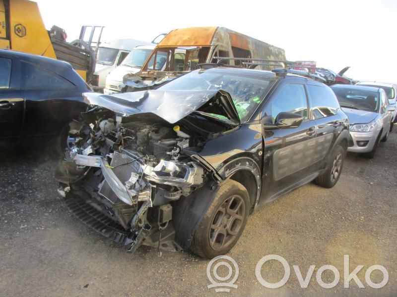 C4 Cactus C4 Picasso, Grand Picasso, Aircross, Cactus  9688477380