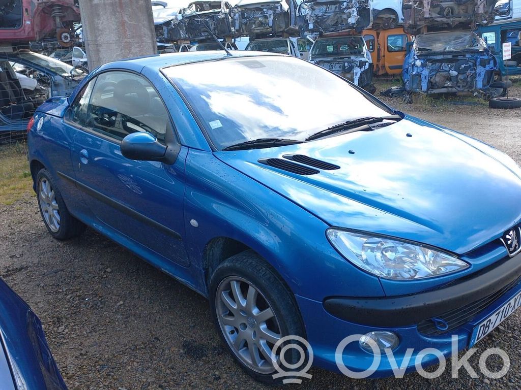 206 CC 206, 206+  5802V7