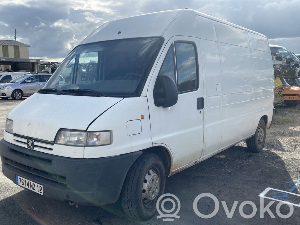 Boxer Boxer  7841E8