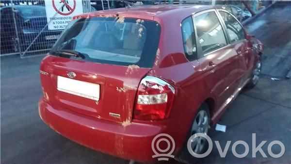 Cerato Cerato