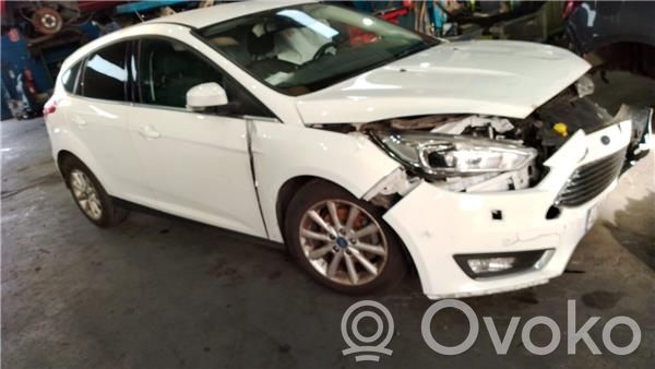 Focus Focus  1899683