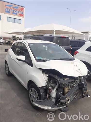Ka Ka  51916169A152