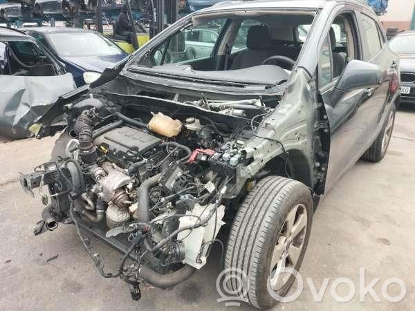 Mokka X Mokka  42543361