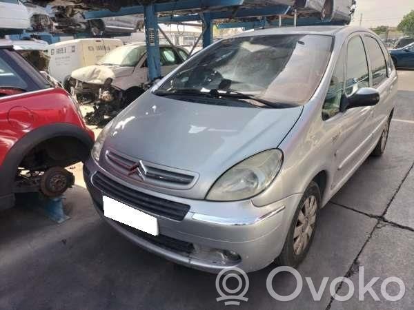 Xsara Xsara, Xsara Picasso