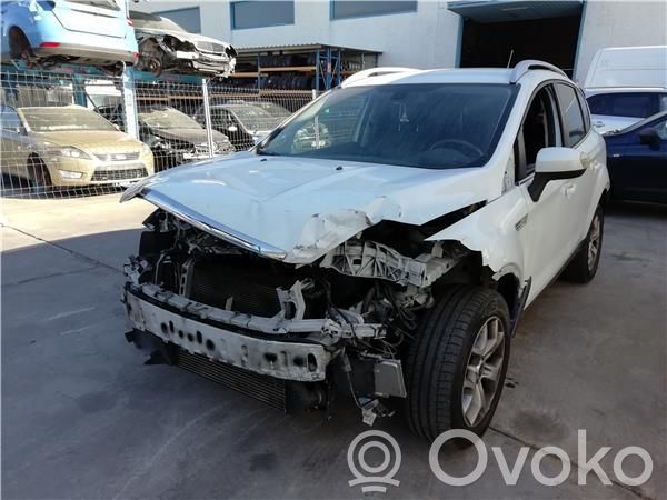 Kuga I Kuga  1702061