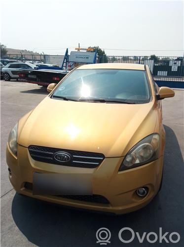 Ceed Ceed, Ceed SW, Pro Ceed  3911327710