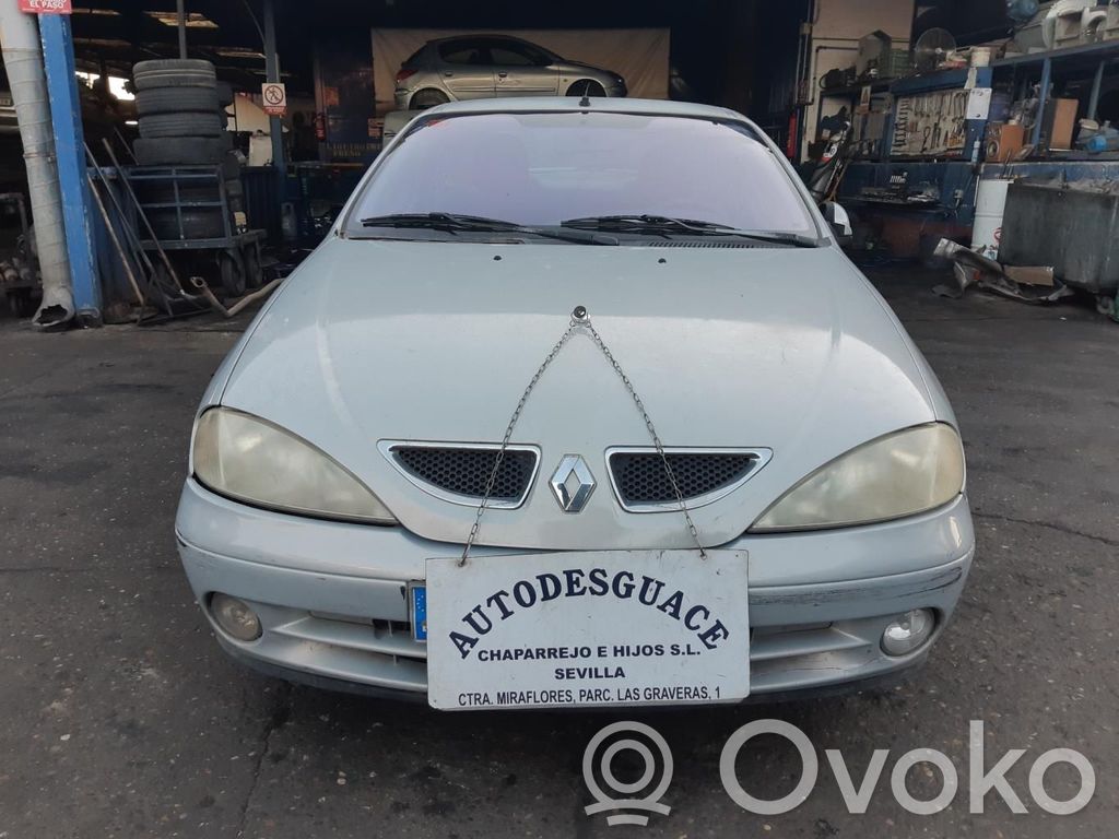 Megane II Megane  429996B