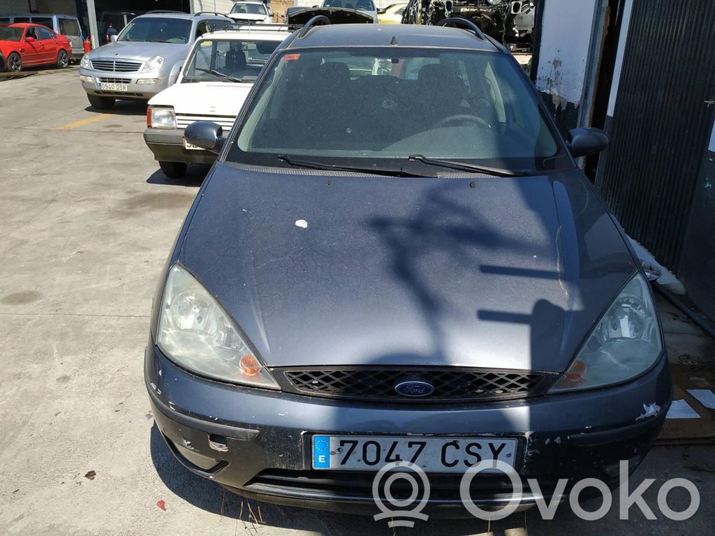 Focus Focus  1149062