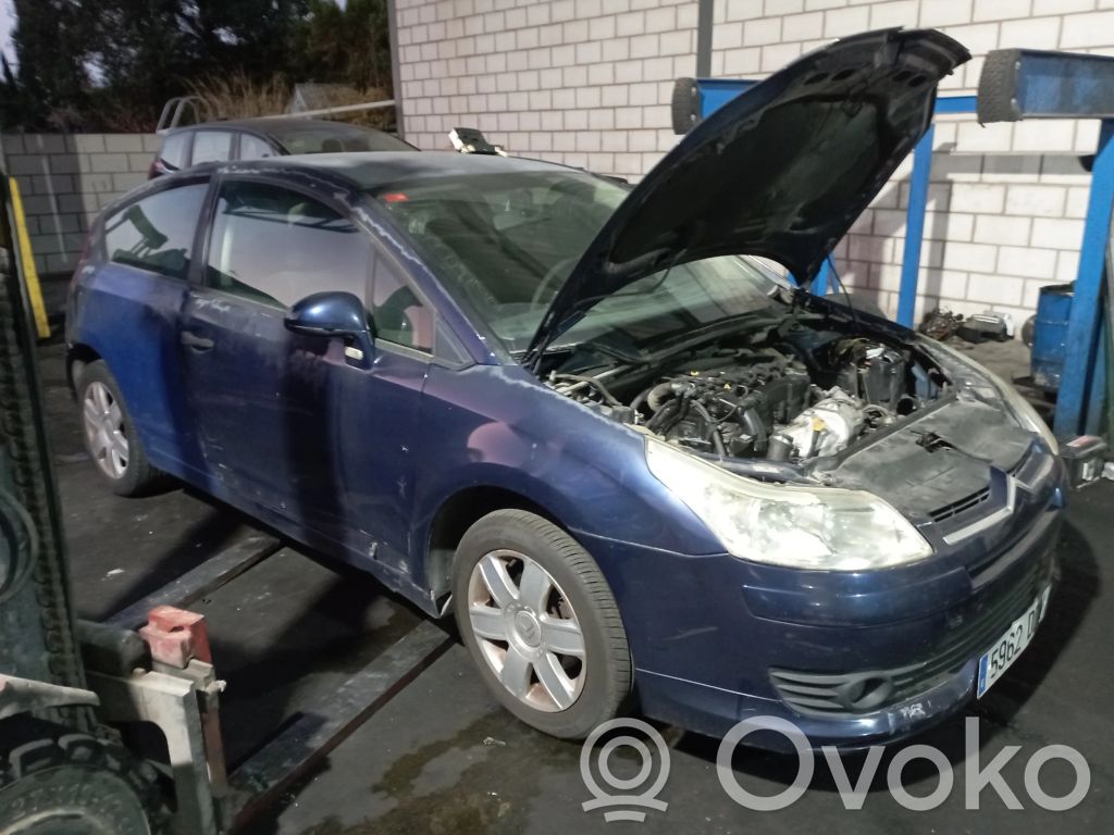C4 I C4 Picasso, Grand Picasso, Aircross, Cactus  9656494480