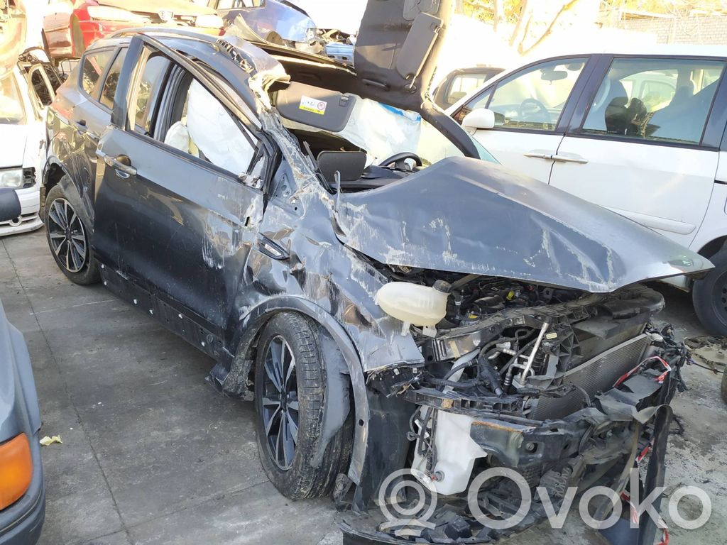 Kuga II Kuga  GV41S044B91AF