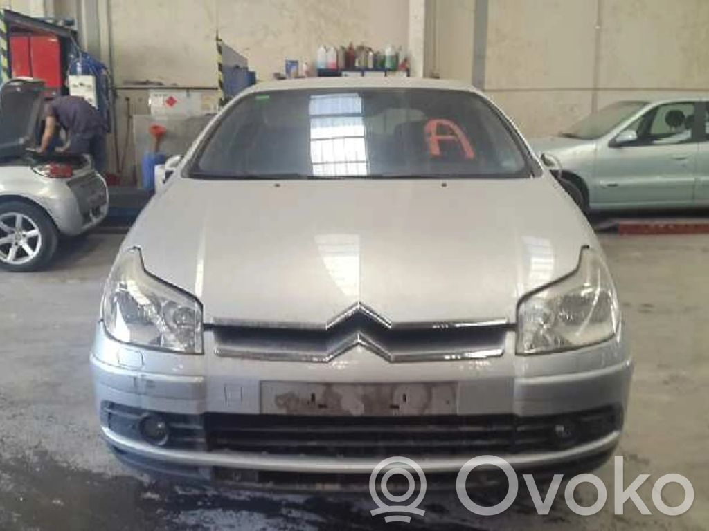 C5 C5, C5 Aircross  96573328YW01