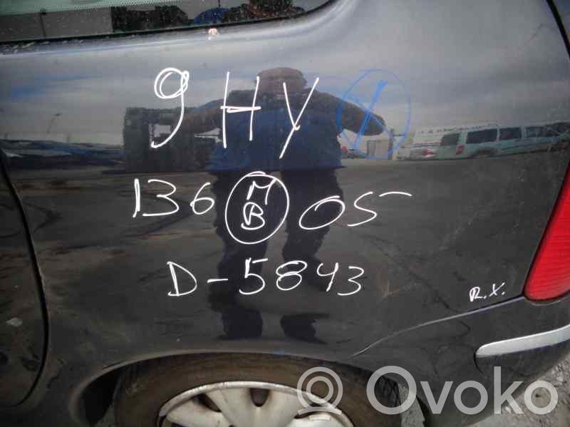 Xsara Xsara, Xsara Picasso