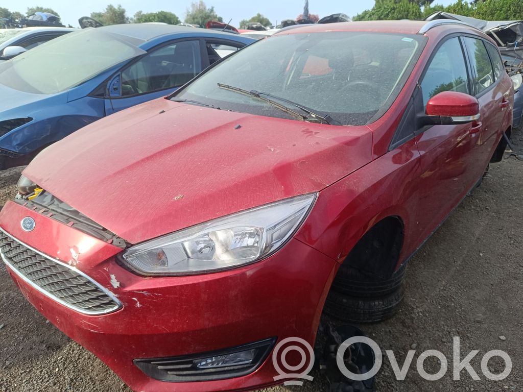 Focus Focus  2078993