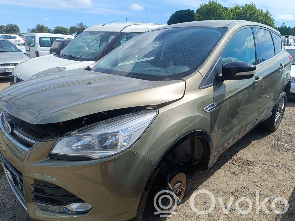 Kuga II Kuga  1873761