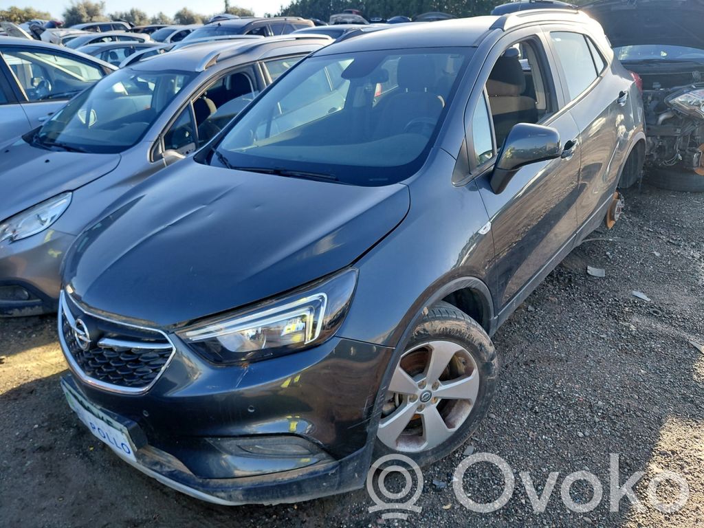 Mokka Mokka  25194650
