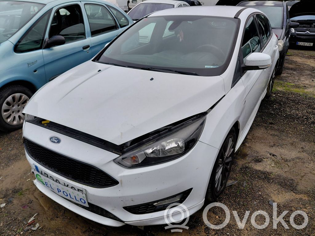 Focus Focus  2147846