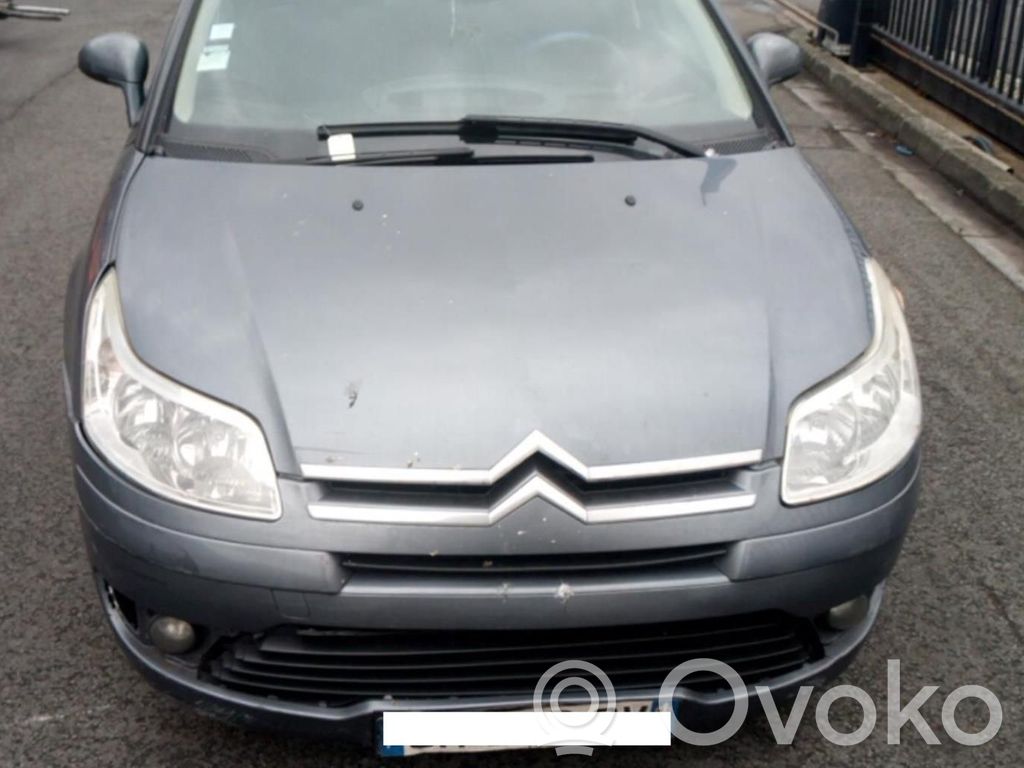 C4 I C4 Picasso, Grand Picasso, Aircross, Cactus  00007410W9