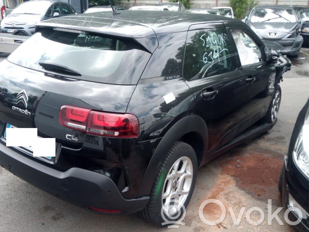 C4 Cactus C4 Picasso, Grand Picasso, Aircross, Cactus  9822716980