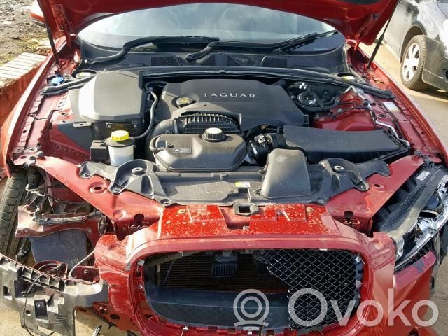 XF X250 XF  AX2Q6K68208