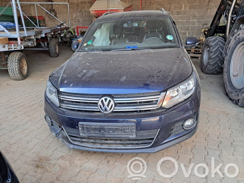 Tiguan Tiguan  REA15256