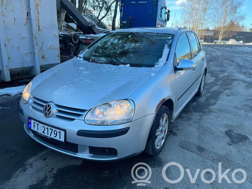 Golf V Golf  032121111