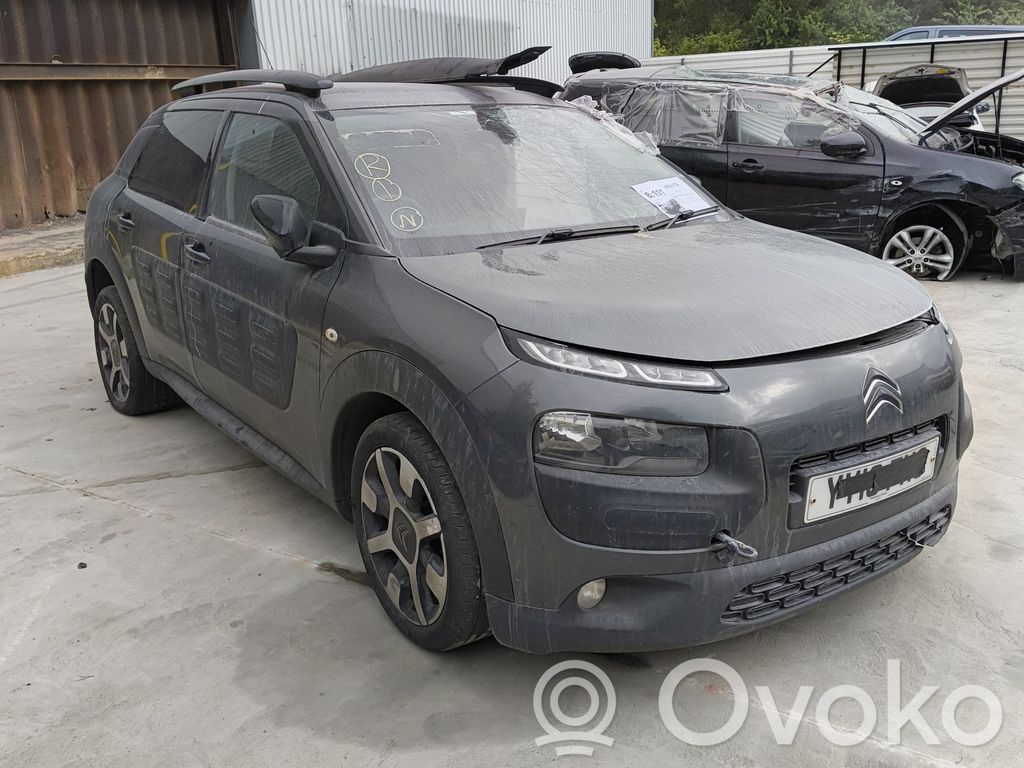 C4 Cactus C4 Picasso, Grand Picasso, Aircross, Cactus  9802096780