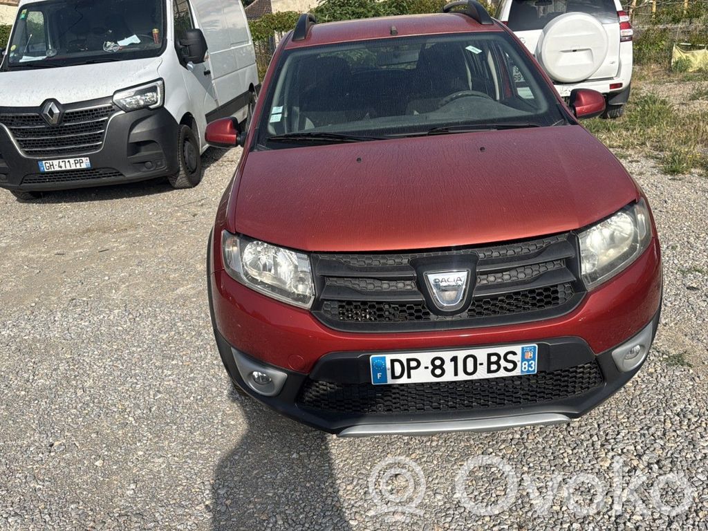 Sandero Sandero, Sandero Stepway  233421987R