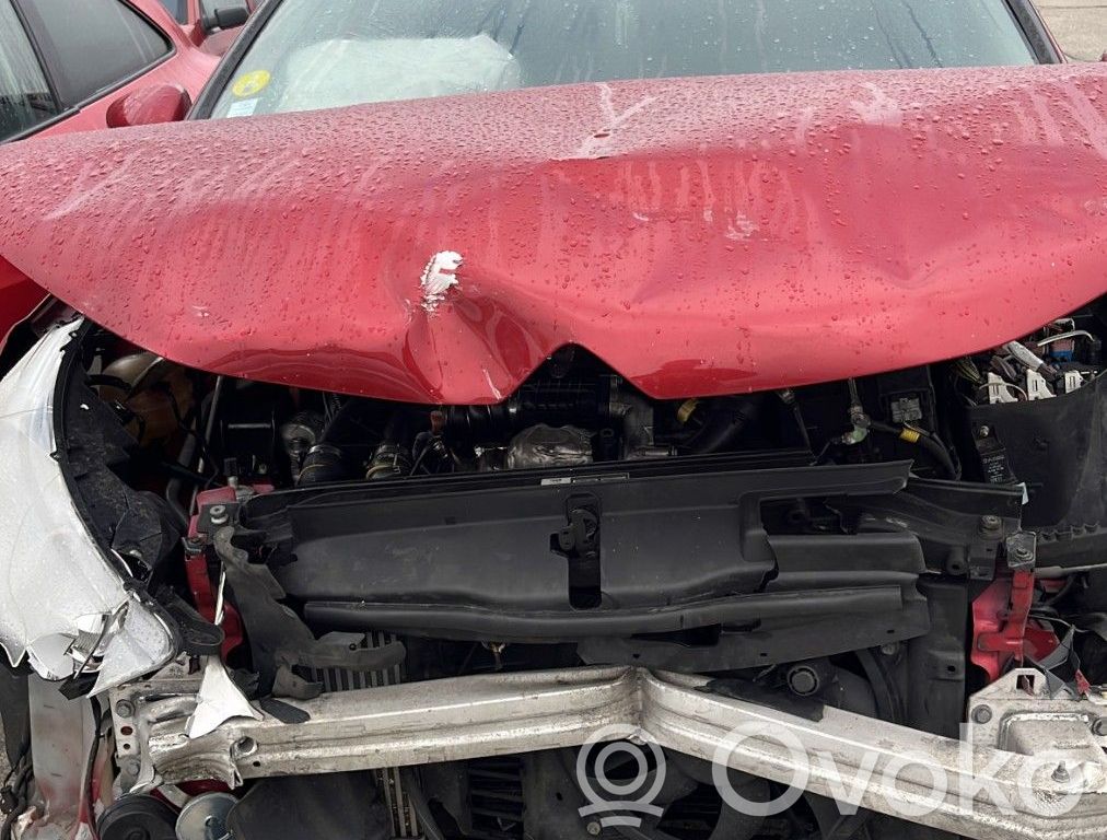 C4 II C4 Picasso, Grand Picasso, Aircross, Cactus  1613360480