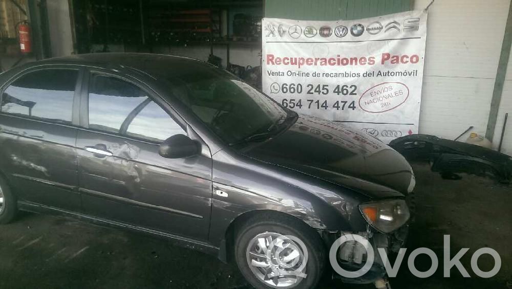 Cerato Cerato  585002F850