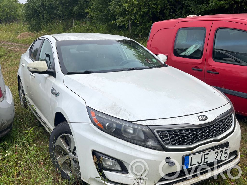 Optima Optima  264102G000