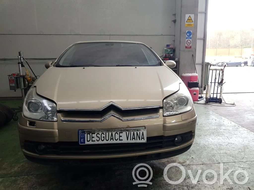 C5 C5, C5 Aircross  9659847280
