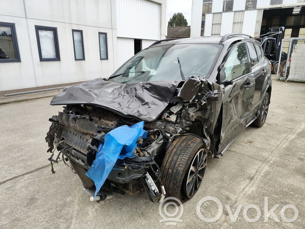 Kuga II Kuga  90100295
