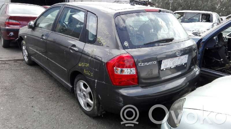 Cerato Cerato