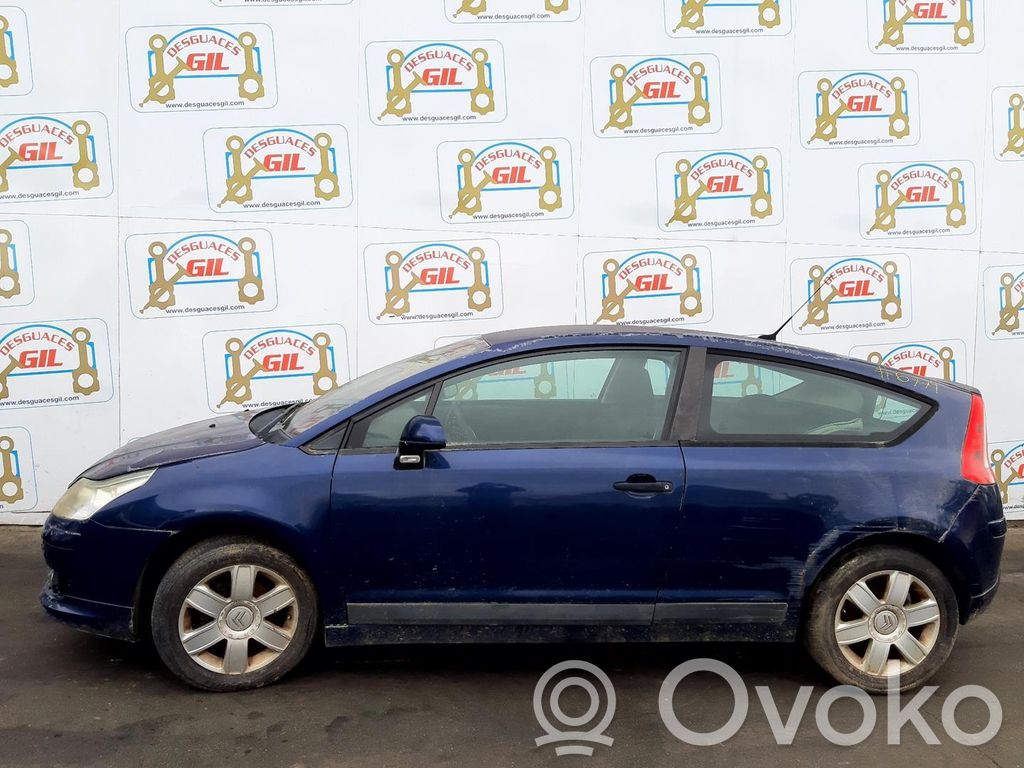 C4 I C4 Picasso, Grand Picasso, Aircross, Cactus