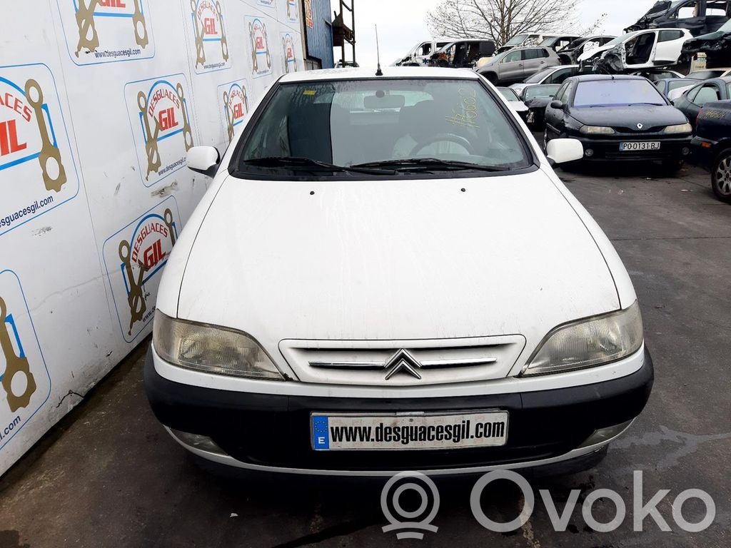 Xsara Xsara, Xsara Picasso