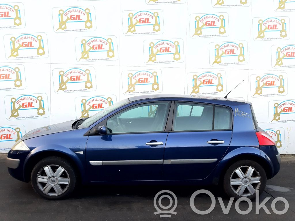 Megane II Megane  8200242405