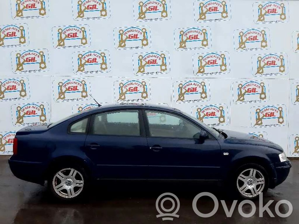 PASSAT B5 Passat