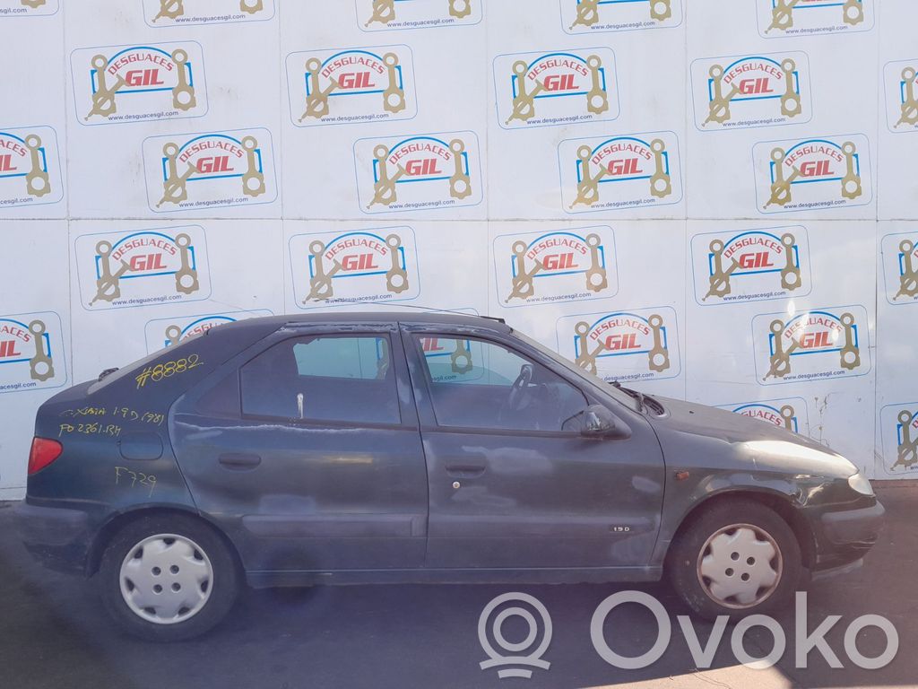 Xsara Xsara, Xsara Picasso