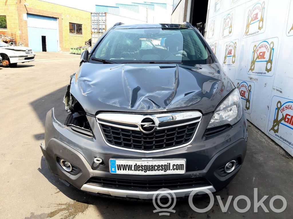 Mokka Mokka  13354532