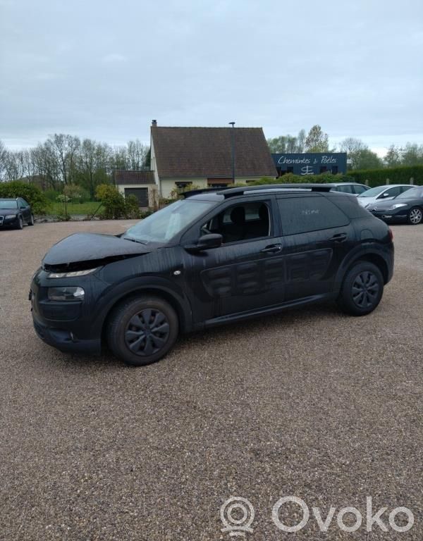 C4 Cactus C4 Picasso, Grand Picasso, Aircross, Cactus  1611428480