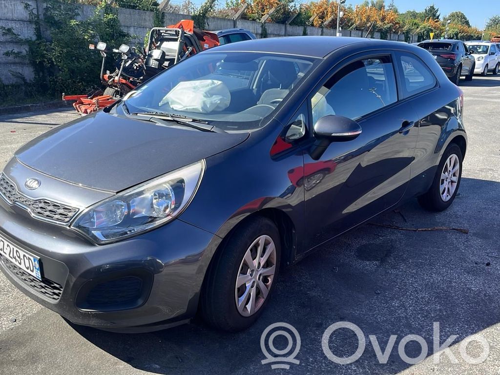 Rio Rio  824211W310