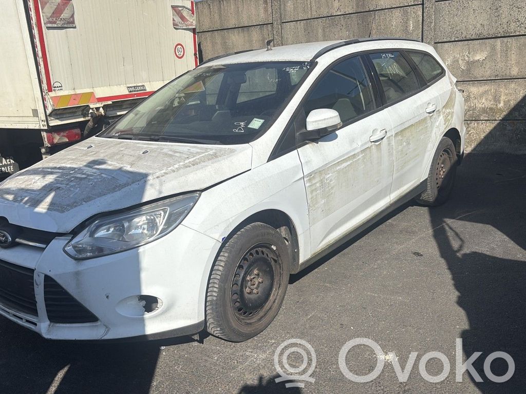 Focus Focus  2605380