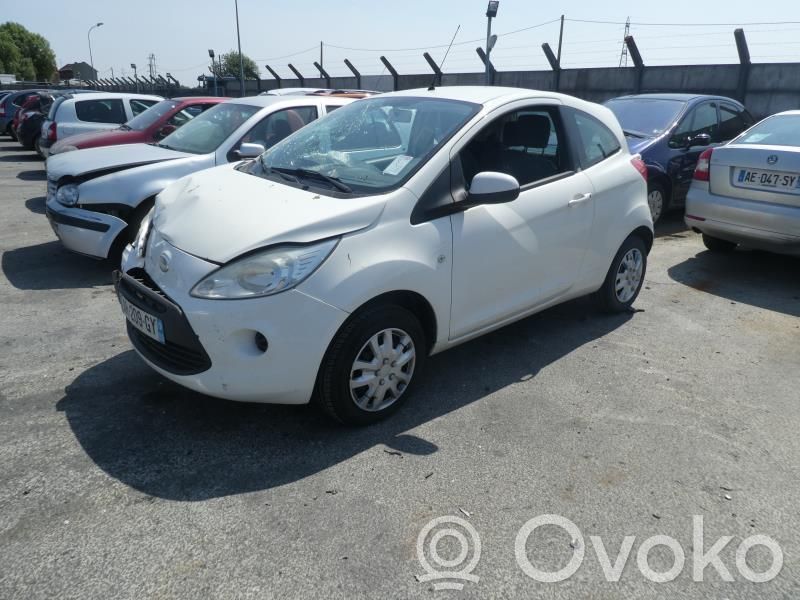 Ka Ka  1571296