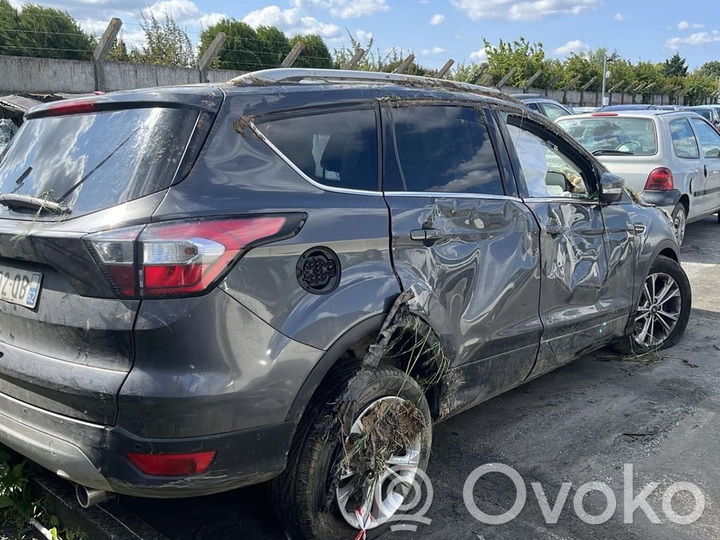 Kuga II Kuga  1786394