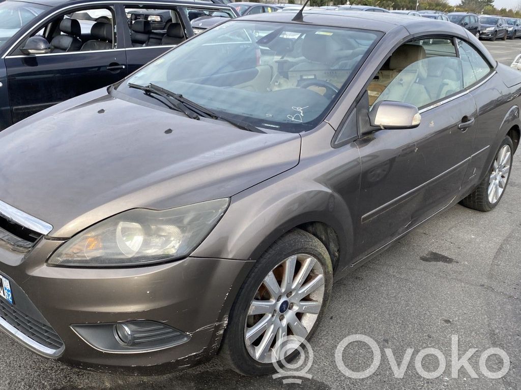 Focus Focus  1562246