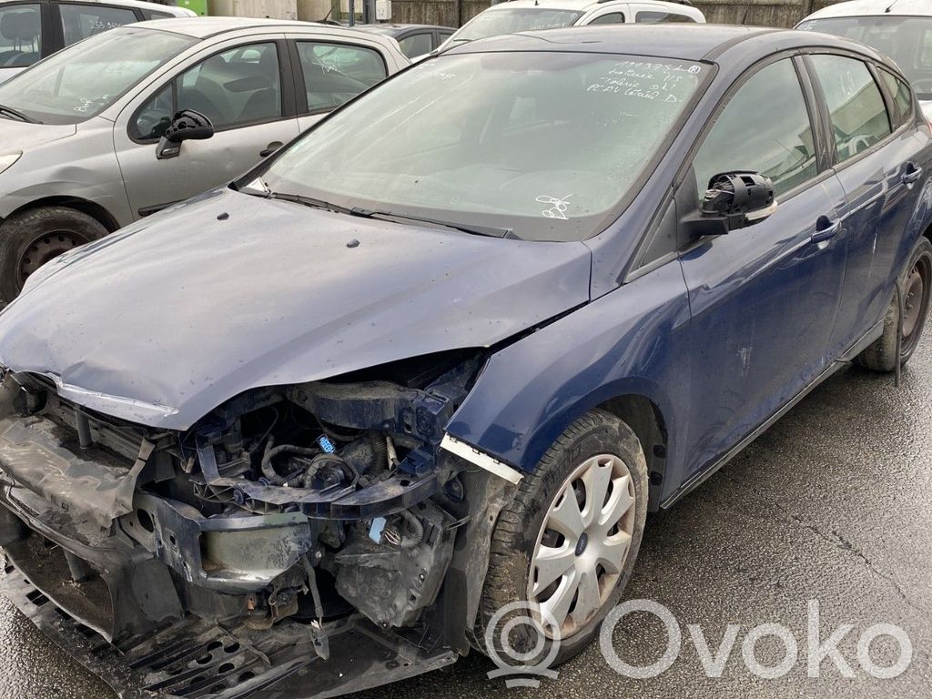 Focus Focus  1681167