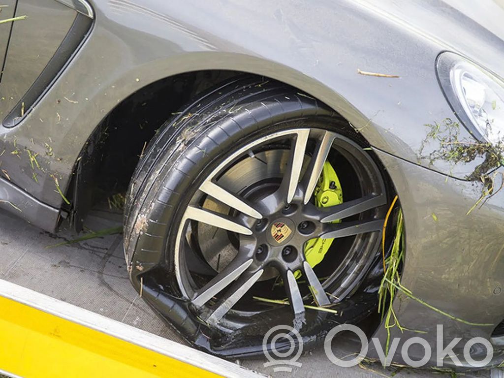Panamera (970) Panamera  06E906262C