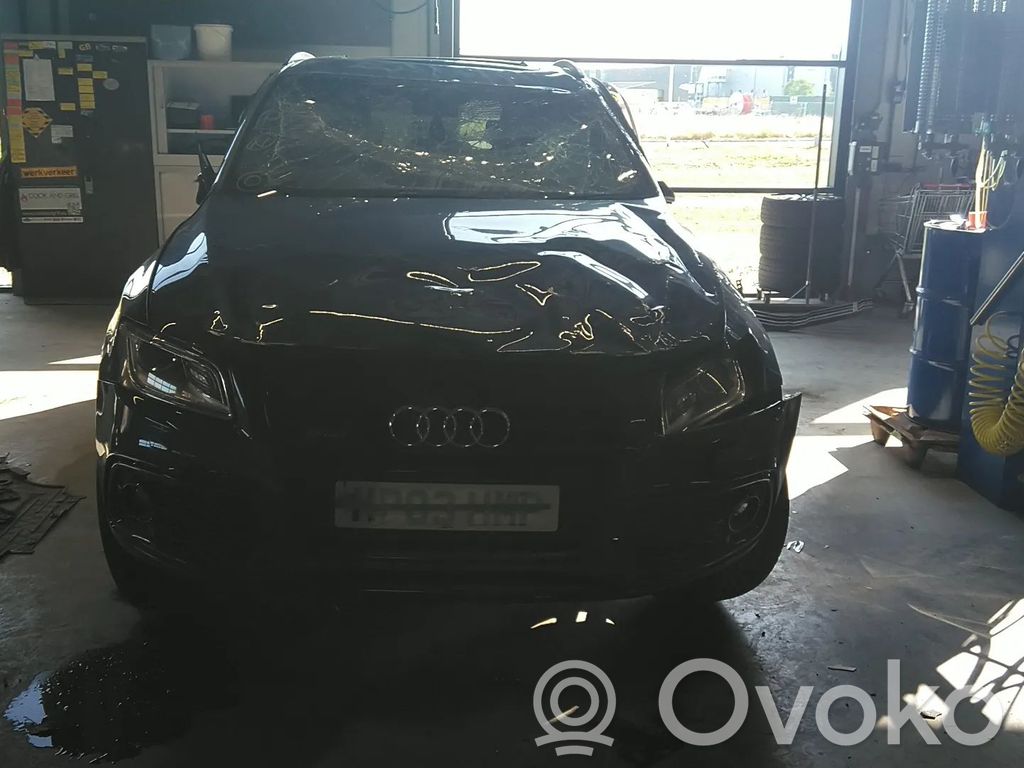 Q5 SQ5 8R Q5, SQ5  059906088CK