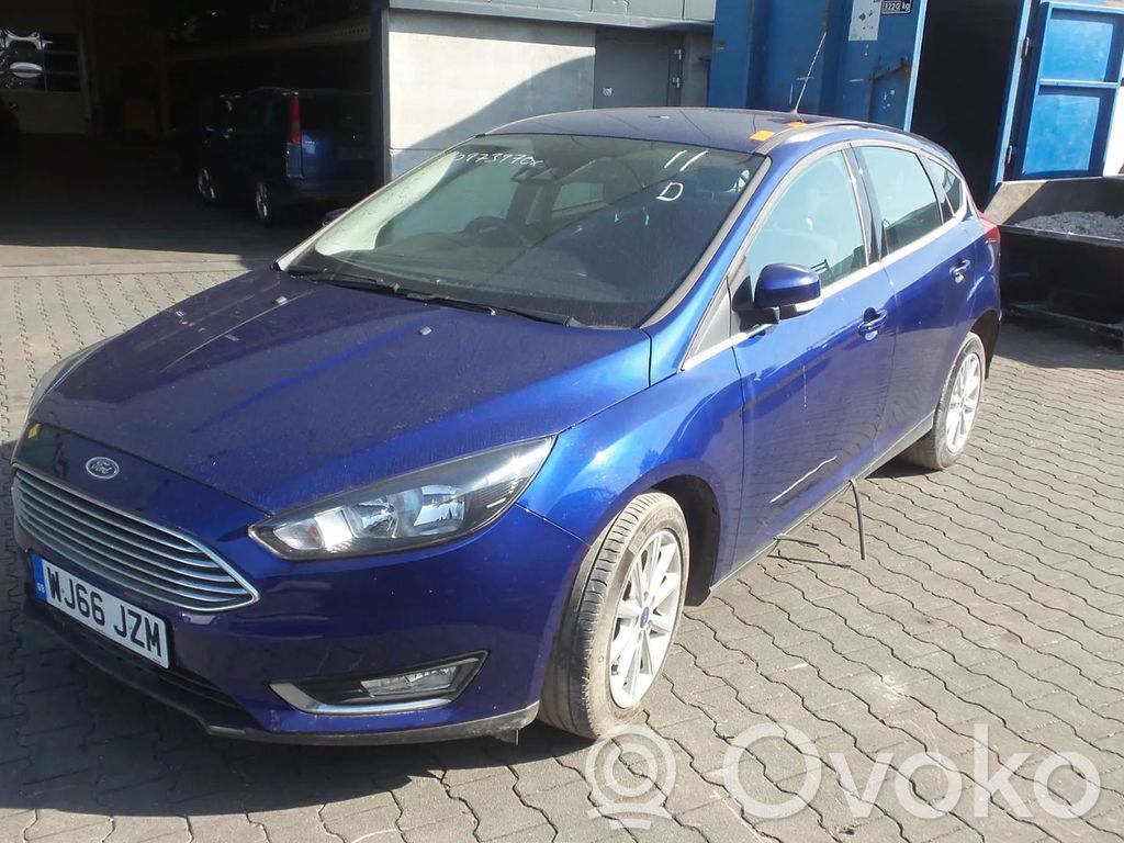 Focus Focus  F1F19Y460BA